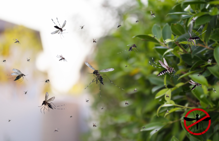 Los mejores antimosquitos de Goibi